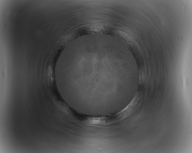 X0000090440187200707131226