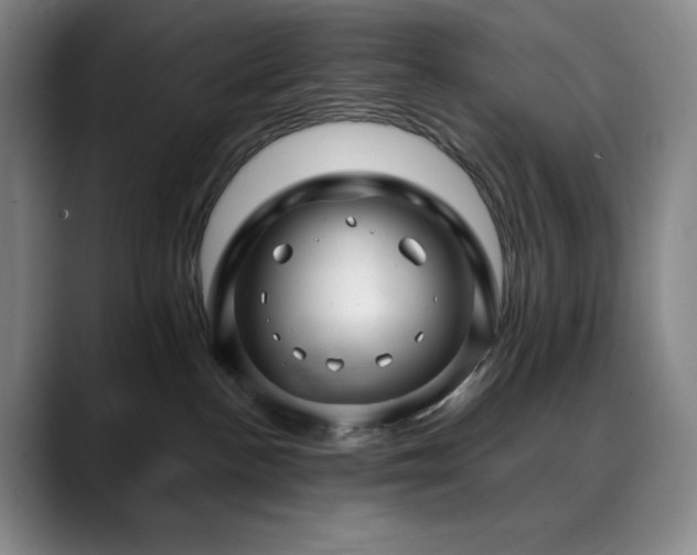 X0000090440188200707131226