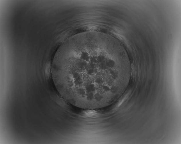 X0000090440189200707131226