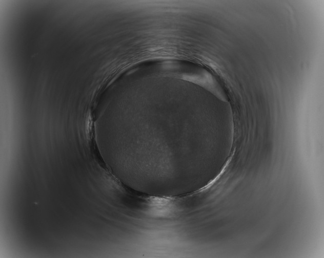 X0000090440192200707131226