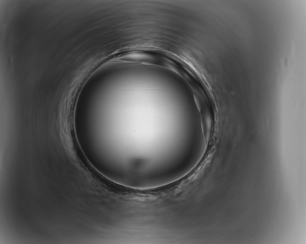 X0000090440193200707131226