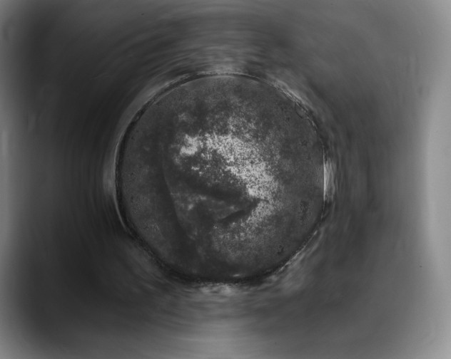 X0000090440195200707131226