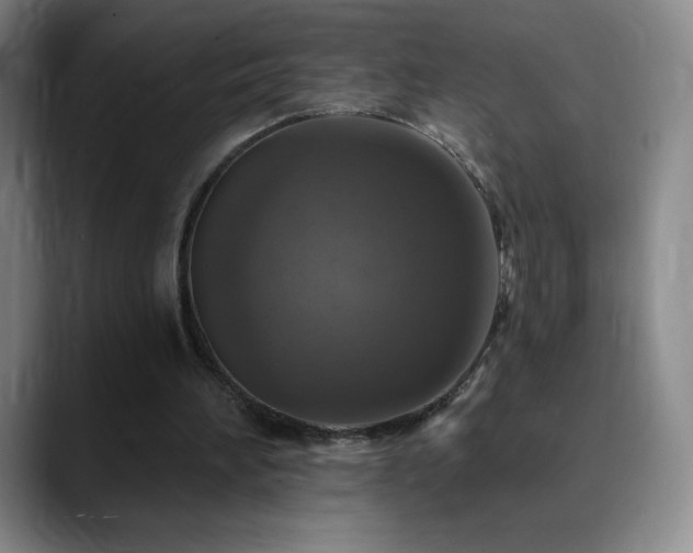 X0000090440196200707131226