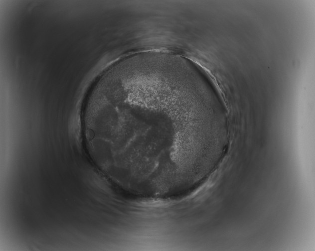 X0000090440198200707131226