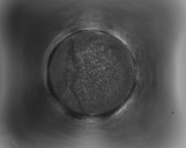 X0000090440199200707131226