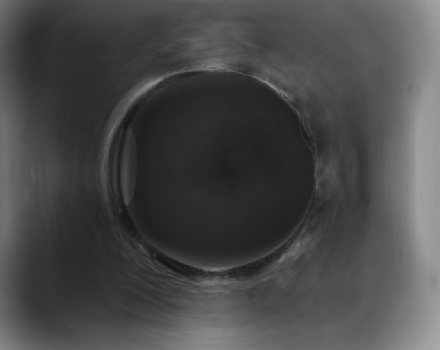 X0000090440200200707131226