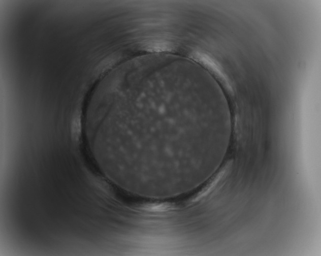 X0000090440202200707131226