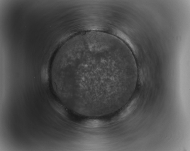 X0000090440203200707131226