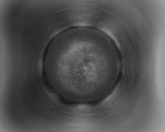 X0000090440204200707131226