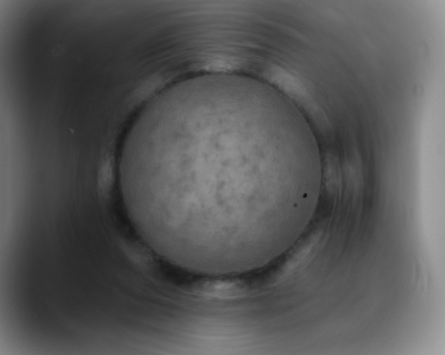 X0000090440208200707131226