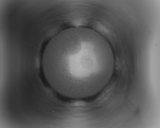 X0000090440210200707131226