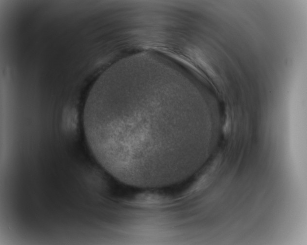 X0000090440211200707131226