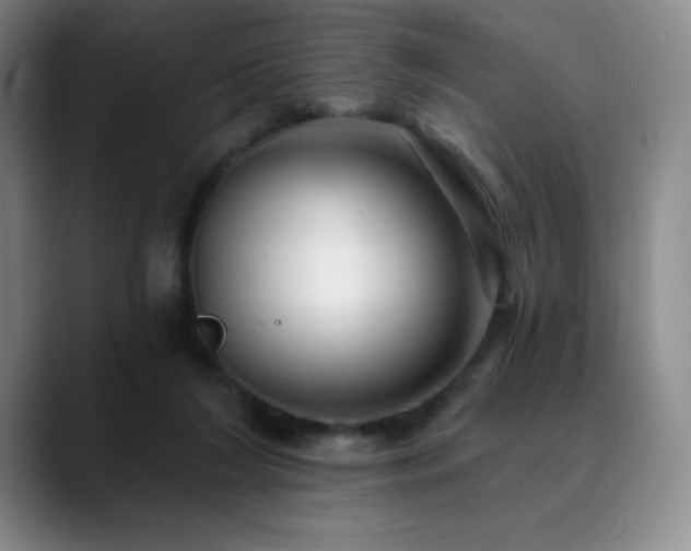 X0000090440212200707131226