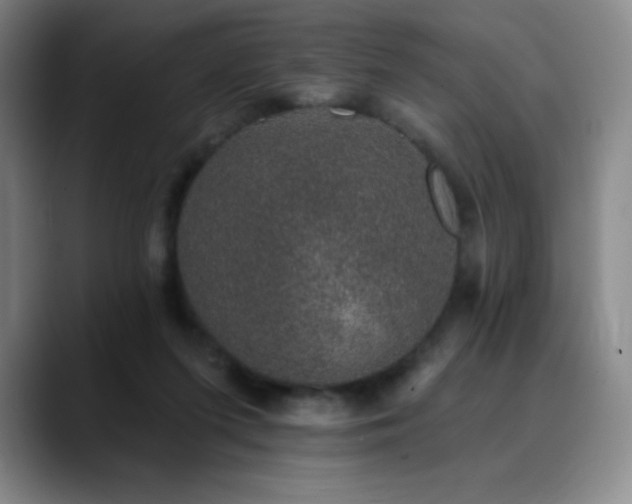 X0000090440215200707131226