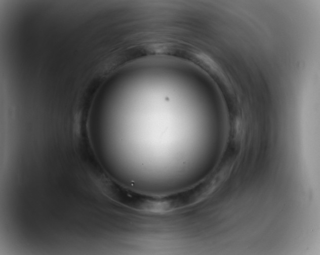 X0000090440217200707131226