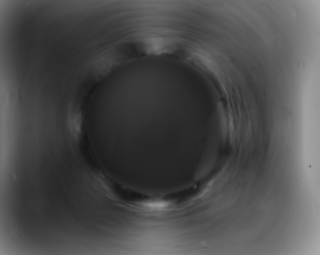 X0000090440219200707131226