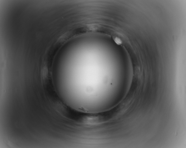 X0000090440220200707131226