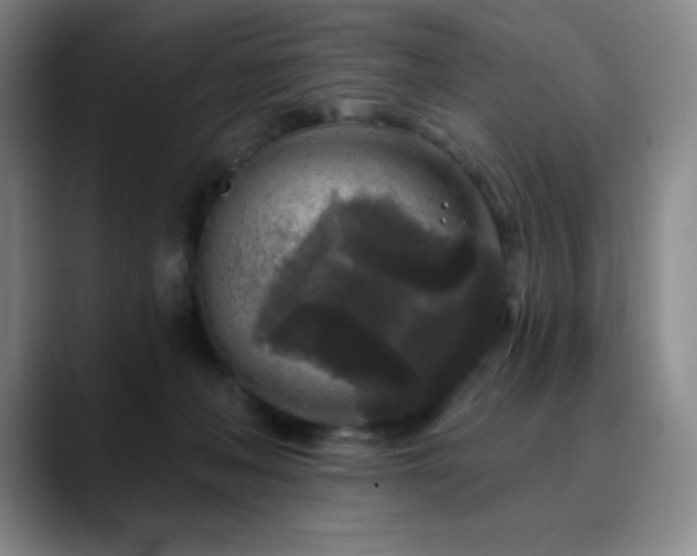 X0000090440222200707131226