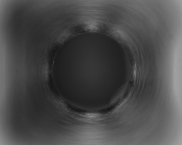 X0000090440223200707131226