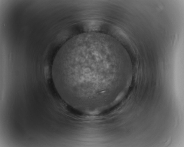 X0000090440224200707131226