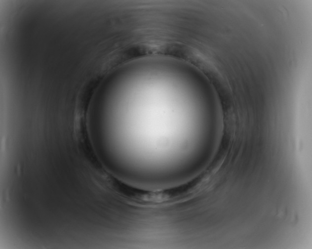 X0000090440225200707131225