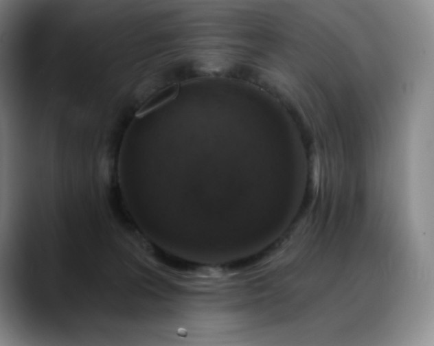 X0000090440227200707131225