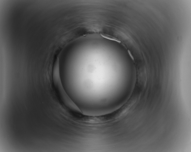 X0000090440229200707131225