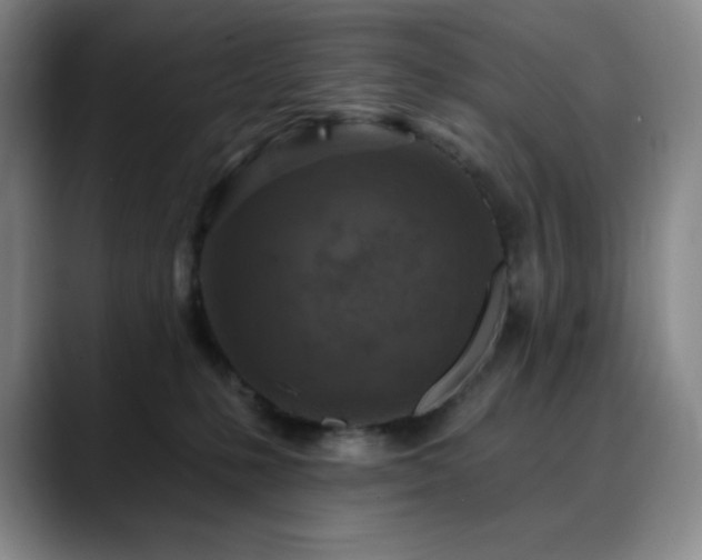 X0000090440231200707131225