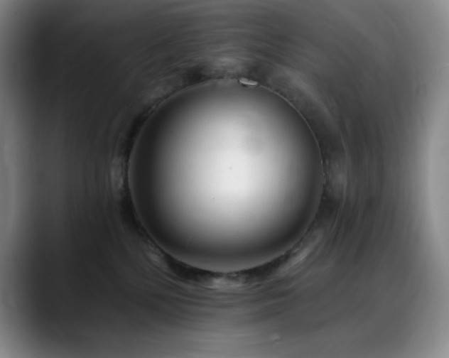 X0000090440232200707131225