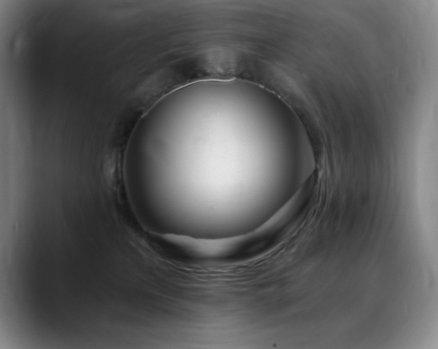 X0000090440233200707131225