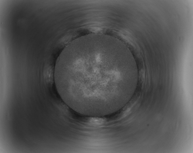 X0000090440234200707131225