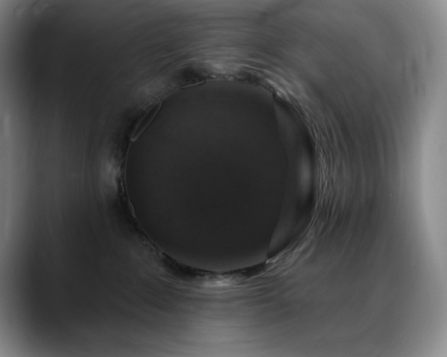 X0000090440235200707131225