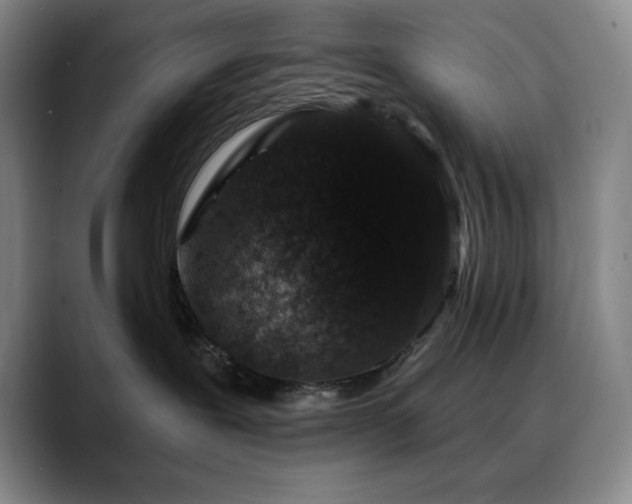 X0000090440239200707131225