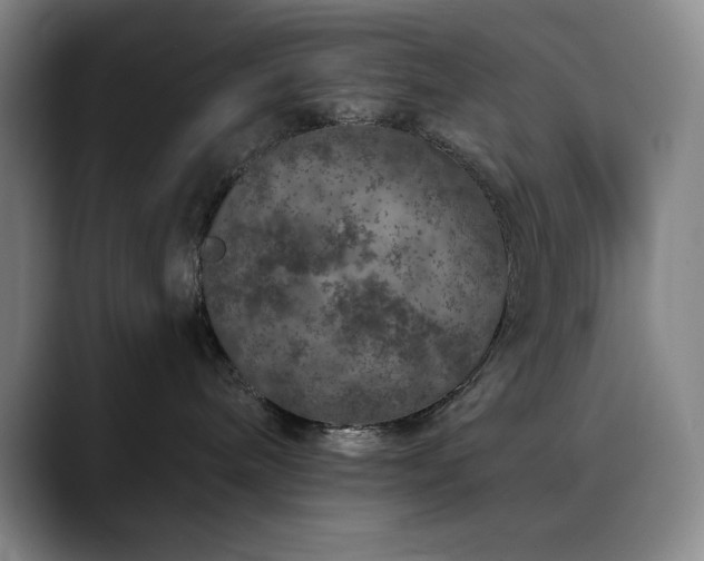 X0000090440240200707131225