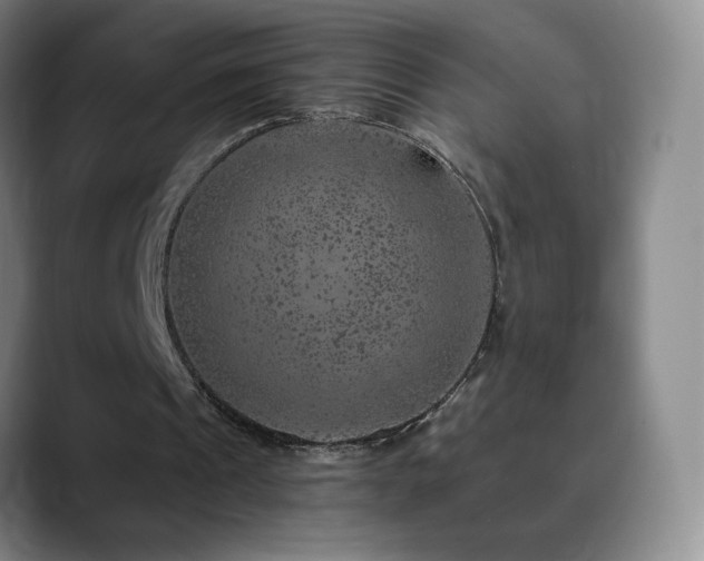 X0000090440241200707131225