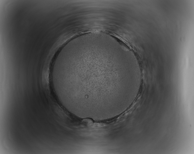 X0000090440242200707131225