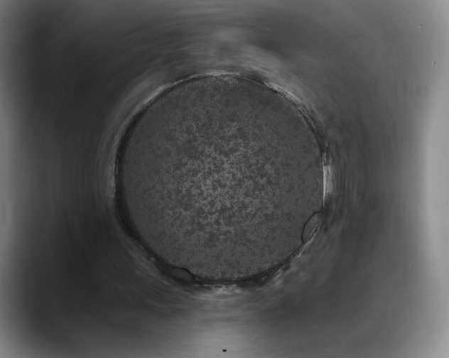 X0000090440243200707131225