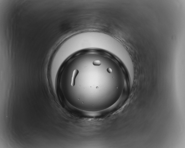 X0000090440244200707131225