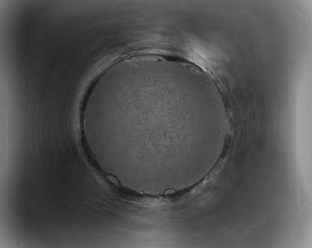 X0000090440245200707131225