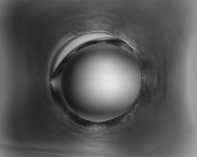 X0000090440248200707131225