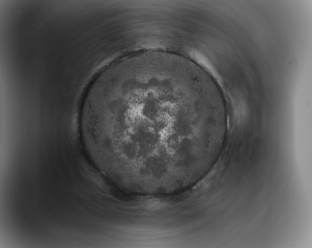 X0000090440249200707131225