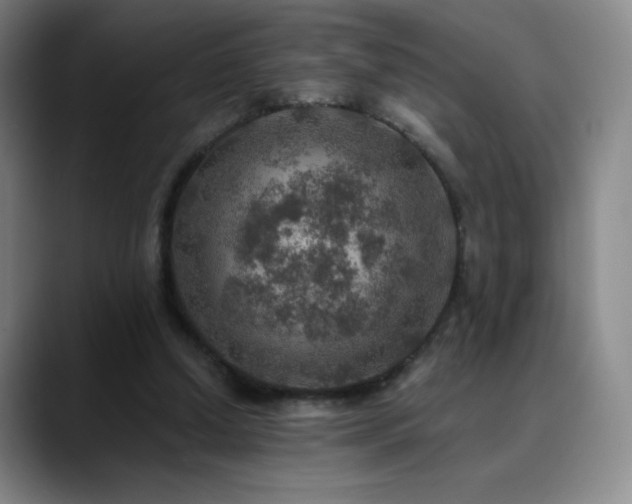 X0000090440250200707131225