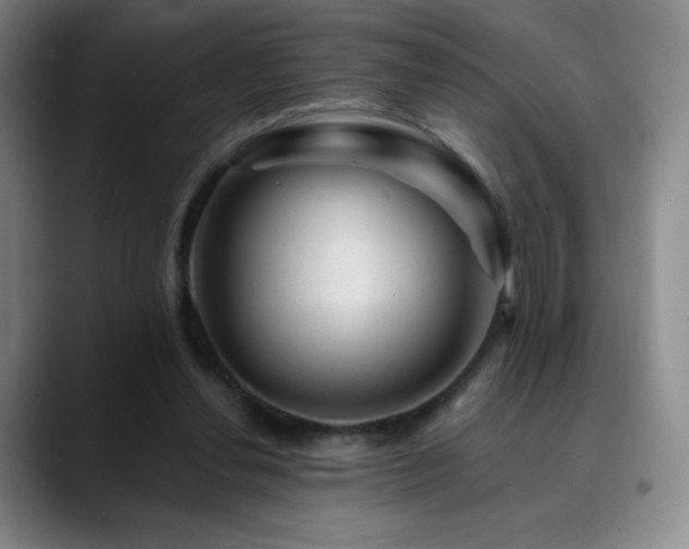 X0000090440252200707131225