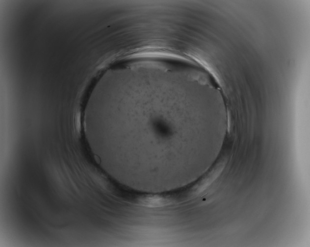 X0000090440253200707131225