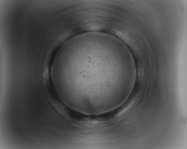 X0000090440254200707131225