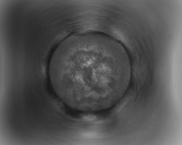 X0000090440258200707131225