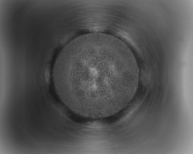 X0000090440259200707131225