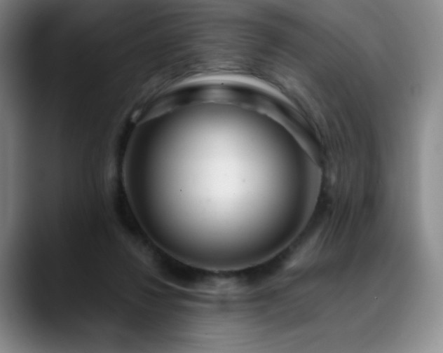 X0000090440260200707131225