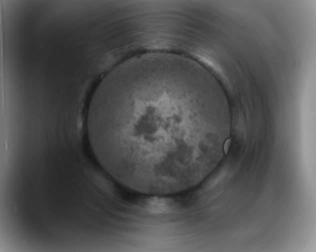 X0000090440261200707131225