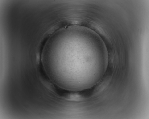 X0000090440262200707131225